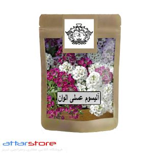 بذر گل آلیسوم عسلی الوان