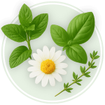 انواع گیاهان دارویی انواع گیاهان دارویی