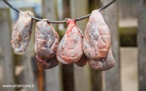 جندبیدستر یا جند بادستر چیست؟